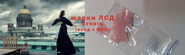ПСИЛОЦИБИНОВЫЕ ГРИБЫ Коряжма