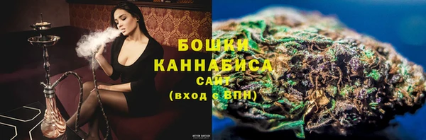 ПСИЛОЦИБИНОВЫЕ ГРИБЫ Коряжма